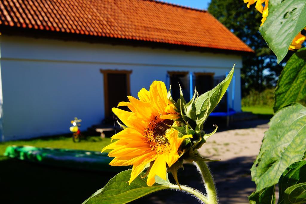 Rybaczowka Luknajno Holiday home Mikolajki (Mragowo)